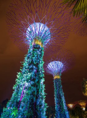 Singapur Körfezi 'ndeki Bahçeler