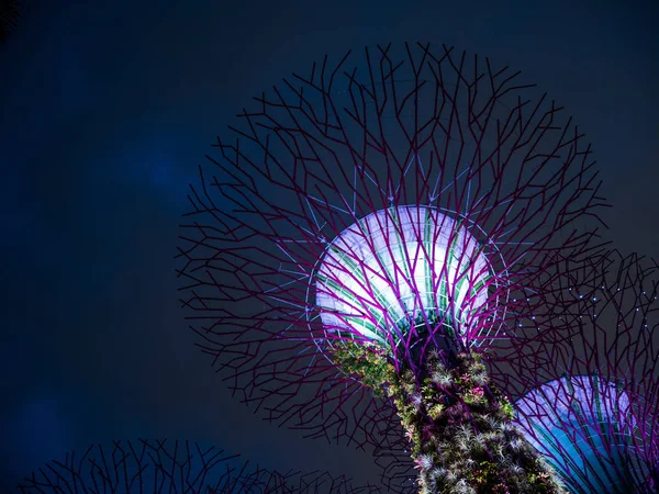 Kertek az öbölnél Szingapúrban — Stock Fotó