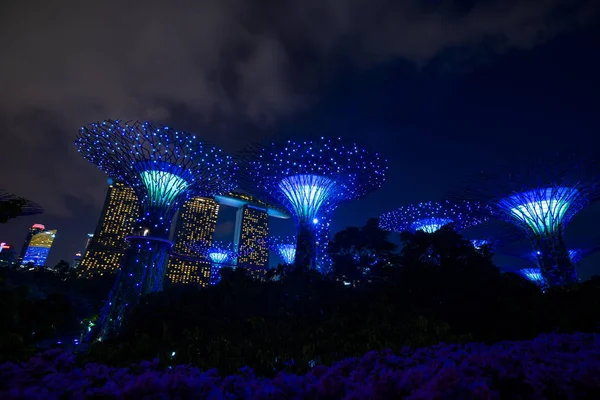 Gardens By The Bay in Singapur — Stockfoto