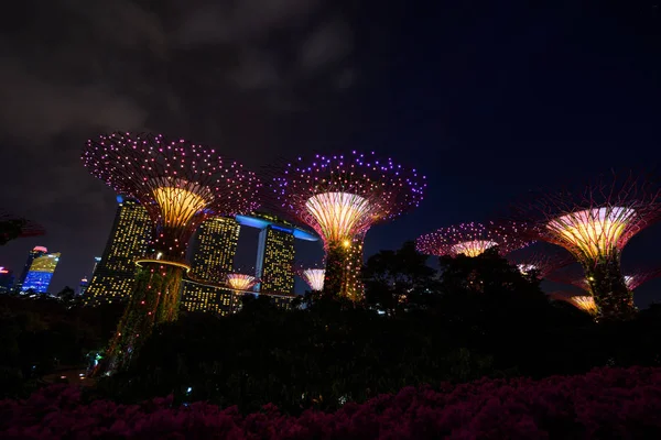 Gardens By The Bay in Singapur — Stockfoto