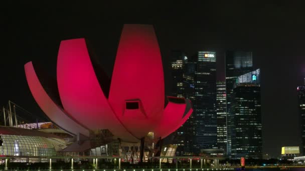 Singapur Ciudad Singapur Marzo 2019 Espectros Luz Agua Show Marina — Vídeo de stock