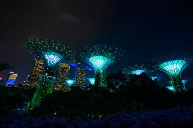 Singapur Körfezi 'ndeki Bahçeler