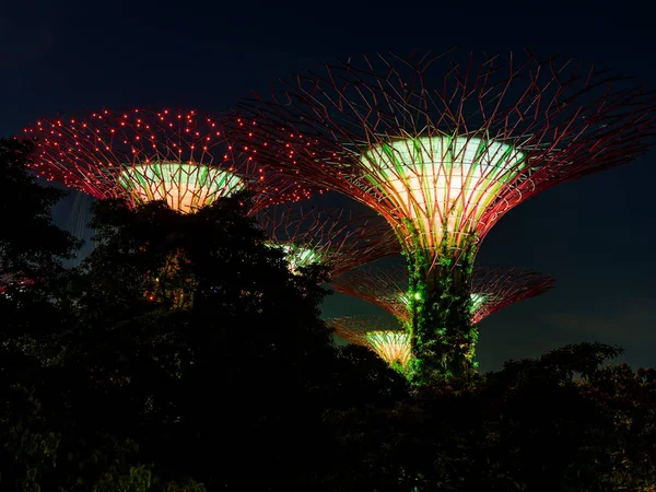 Jardins perto da baía em Singapura — Fotografia de Stock