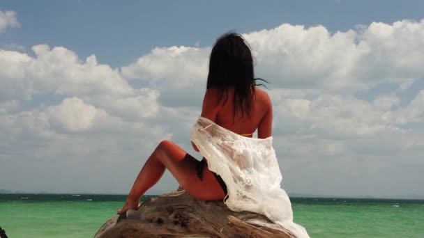 时尚女人在热带海滩上晒日光浴夏季旅行 — 图库视频影像