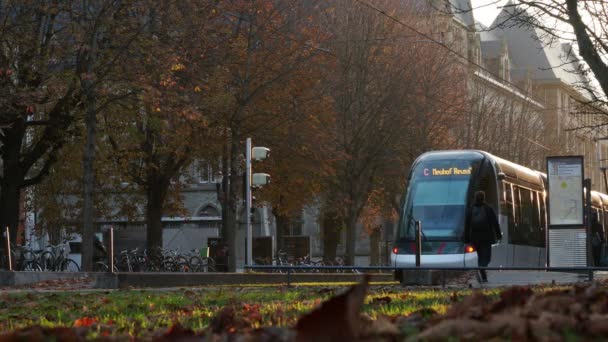 Tranvía Temprano Mañana Estrasburgo Francia — Vídeos de Stock