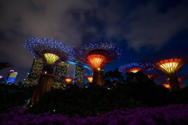 Singapur Körfezi 'ndeki Bahçeler