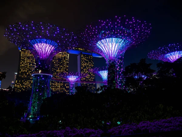 新加坡湾边的花园 — 图库照片