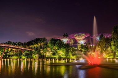 Singapur Körfezi 'ndeki Bahçeler