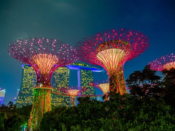 Singapur Körfezi 'ndeki Bahçeler — Stok fotoğraf