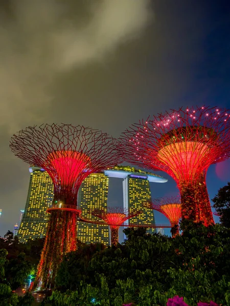 Jardins perto da baía em Singapura — Fotografia de Stock