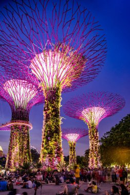 Singapur Körfezi 'ndeki Bahçeler