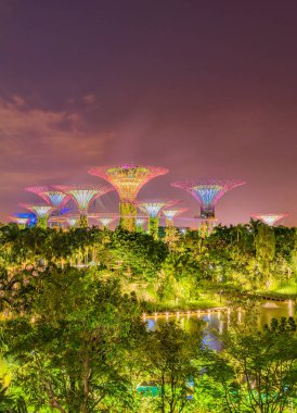 Singapur Körfezi 'ndeki Bahçeler