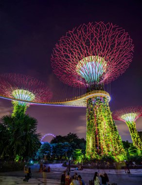 Singapur Körfezi 'ndeki Bahçeler