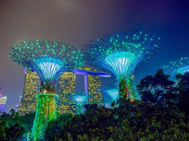 Singapur Körfezi 'ndeki Bahçeler