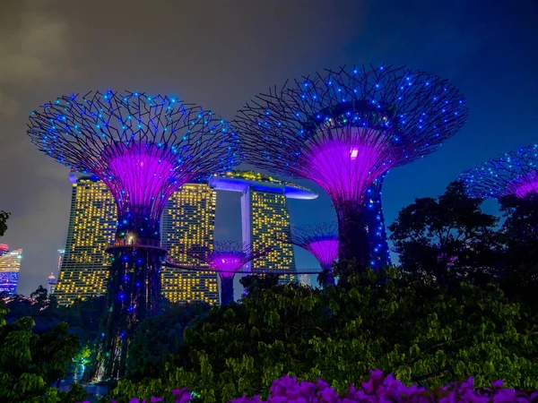 Jardins perto da baía em Singapura — Fotografia de Stock