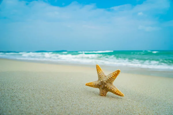 Звезды на пляже — стоковое фото