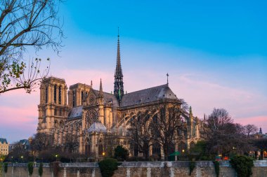 Notre Dame de Paris Katedrali