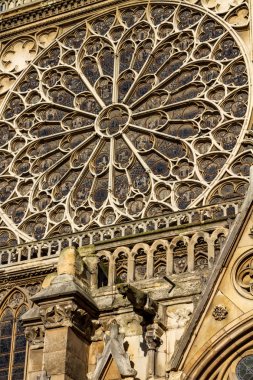 notre dame paris 