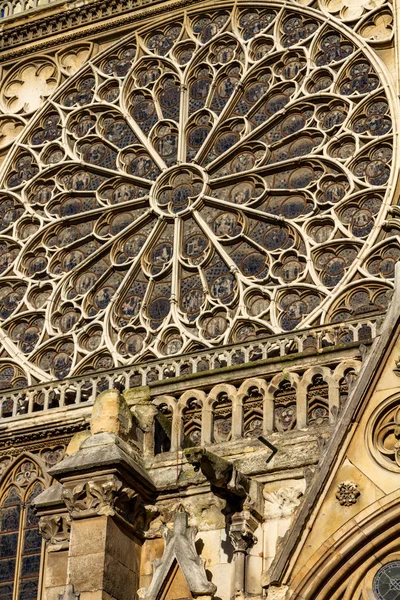 Notre dame paris — Stock Photo, Image