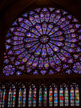 Notre dame de Paris'in Gülü