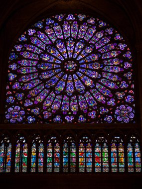 Notre dame de Paris'in Gülü