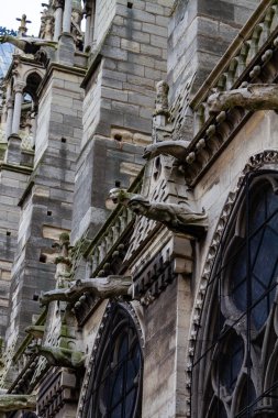 notre dame paris 