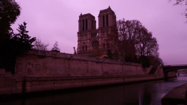 Notre Dame Paris Kathedraal — Stockvideo