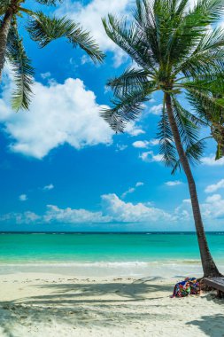 Bir Chaweng beach koh Samui 