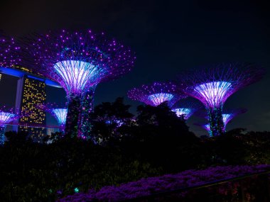 Singapur Körfezi 'ndeki Bahçeler