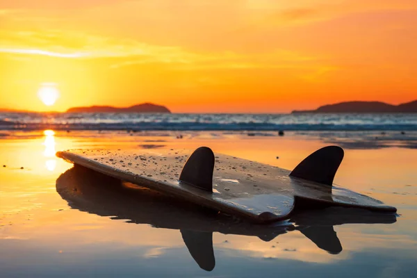 Tabla de surf en la playa en la orilla del mar al atardecer —  Fotos de Stock