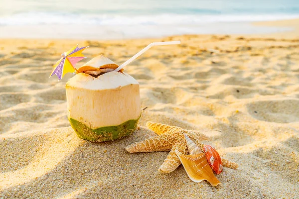 Kokosowy Seashell Rozgwiazdy Tropikalnej Plaży — Zdjęcie stockowe