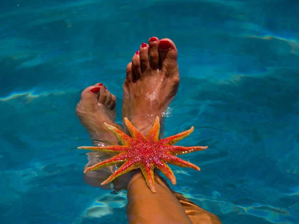 Frauenbeine mit Seesternen am Pool — Stockfoto