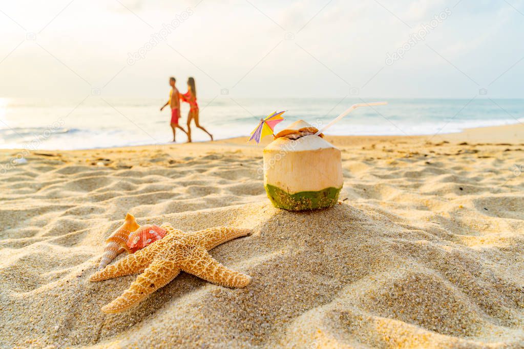 Coconut, seashell and Starfish  at the tropical beach