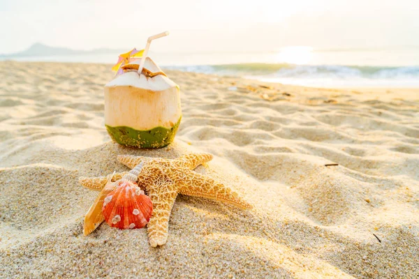 Coco Coquillages Étoiles Mer Sur Plage Tropicale — Photo