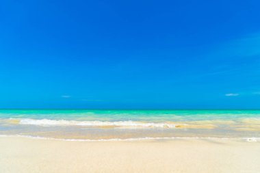 İnanılmaz bir tropik plaj