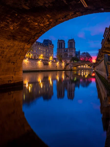 Katedrála notre dame de paris — Stock fotografie