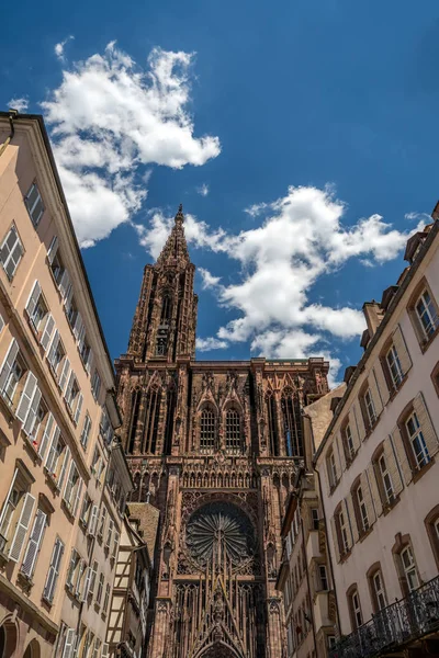 Cathédrale Notre Dame de Strasbourg — Photo