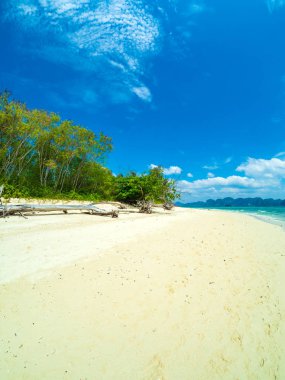 Krabi poda Adası 