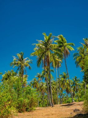 Rawai beach phuket Adası 