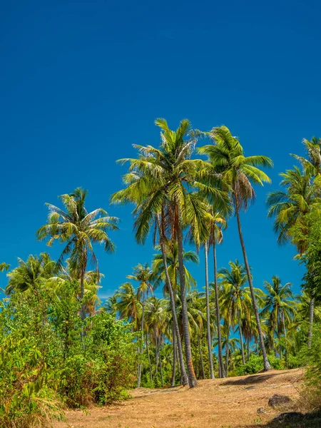 Rawai beach op phuket eiland — Stockfoto