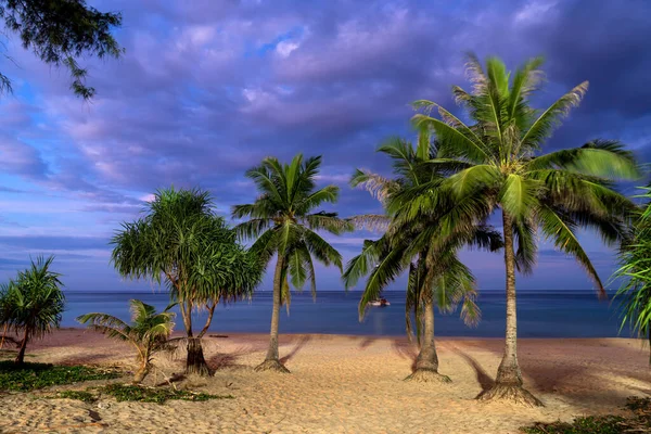 Hermosa Puesta Sol Playa Tropical —  Fotos de Stock