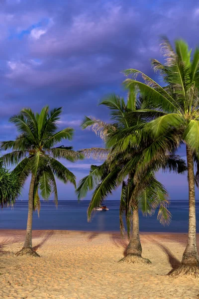 Úžasná Ostrovní Tropická Pláž — Stock fotografie