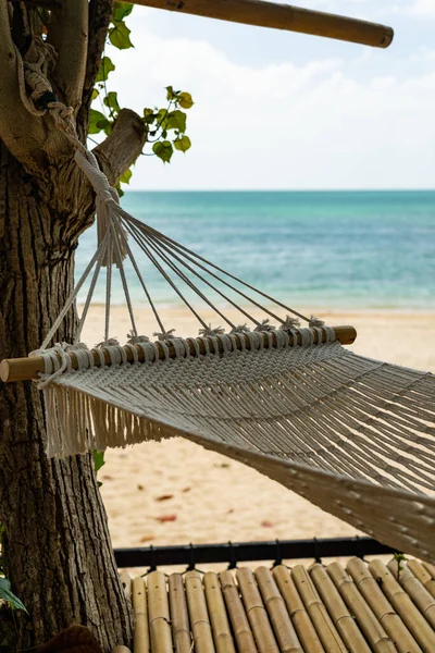 Hängmatta Den Tropiska Stranden — Stockfoto