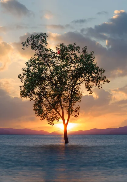 Sunset Klong Muang Beach Krabi Thailand — Stock Photo, Image