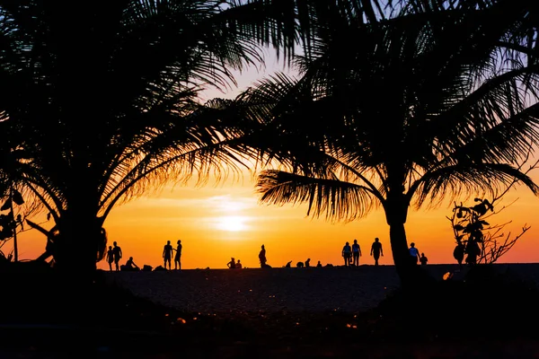 Frumos Apus Soare Plaja Tropicală — Fotografie, imagine de stoc