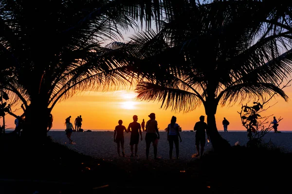 Piękny Zachód Słońca Tropikalnej Plaży — Zdjęcie stockowe