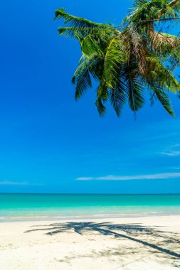 İnanılmaz Tropikal plaj manzarası