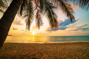 Samui Tayland sahilinde gün batımı