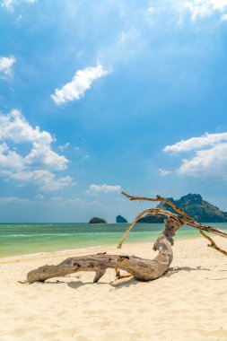 İnanılmaz Tropikal plaj manzarası