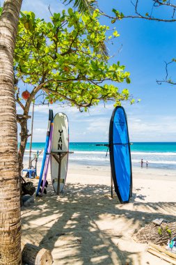 KUTA BALI - İNDONEZYA, FEBRUARY 7: 7 Şubat 2020 Bali Endonezya 'nın ünlü Kuta plajında sörf tahtaları